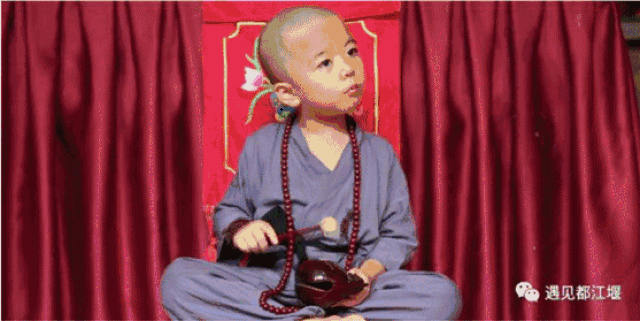 一夜之间,青城后山小沙弥火了!心都萌化啦!