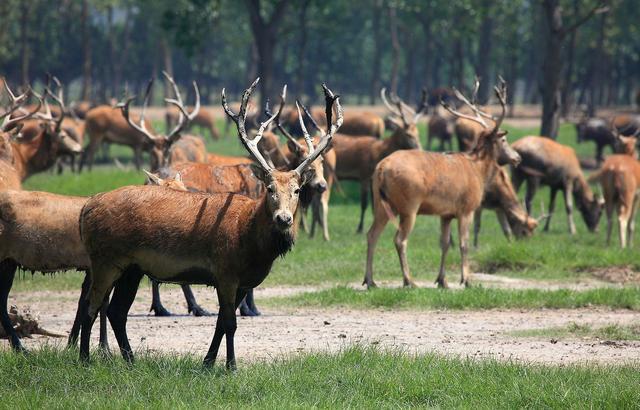 江苏面积第一市,人口七百万经济堪比部分省会