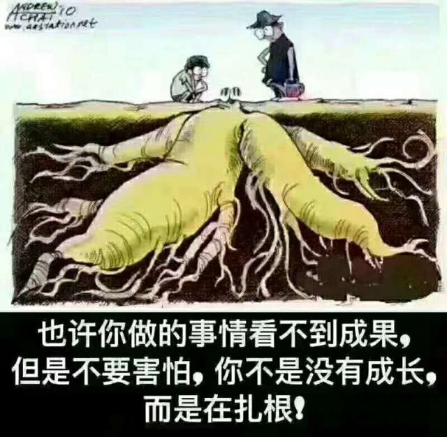 当头棒喝:年轻人别把成功等同于财富