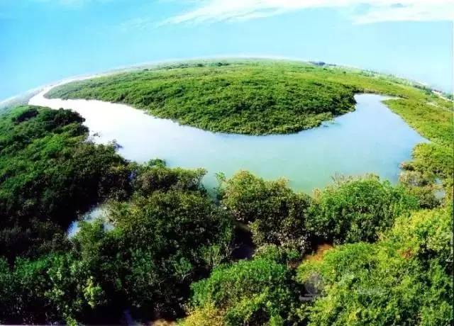 保护区以红树林湿地生态系统及其生物多样,典型自然景观等为要保护