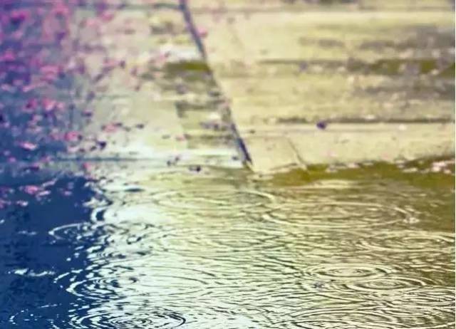 "一场秋雨一场寒"有什么科学道理?