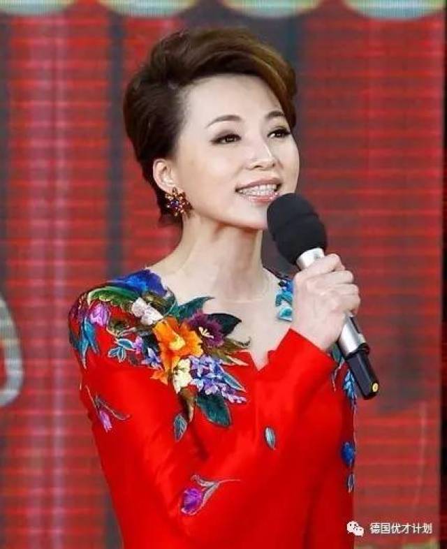 2005年起至2016年 ,连续十三年, 担任中央电视台的春节联欢晚会