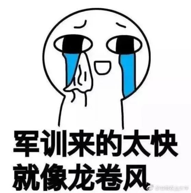 一组军训表情包送给大家!