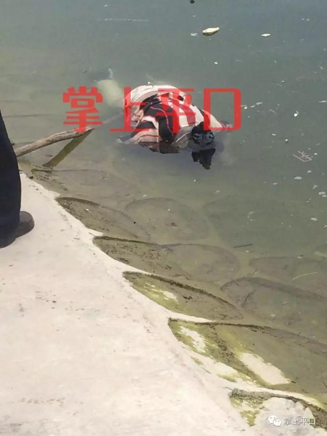 安化平口雪峰湖码头发现一具无名女尸!新化漂下来的?有失踪的速看!