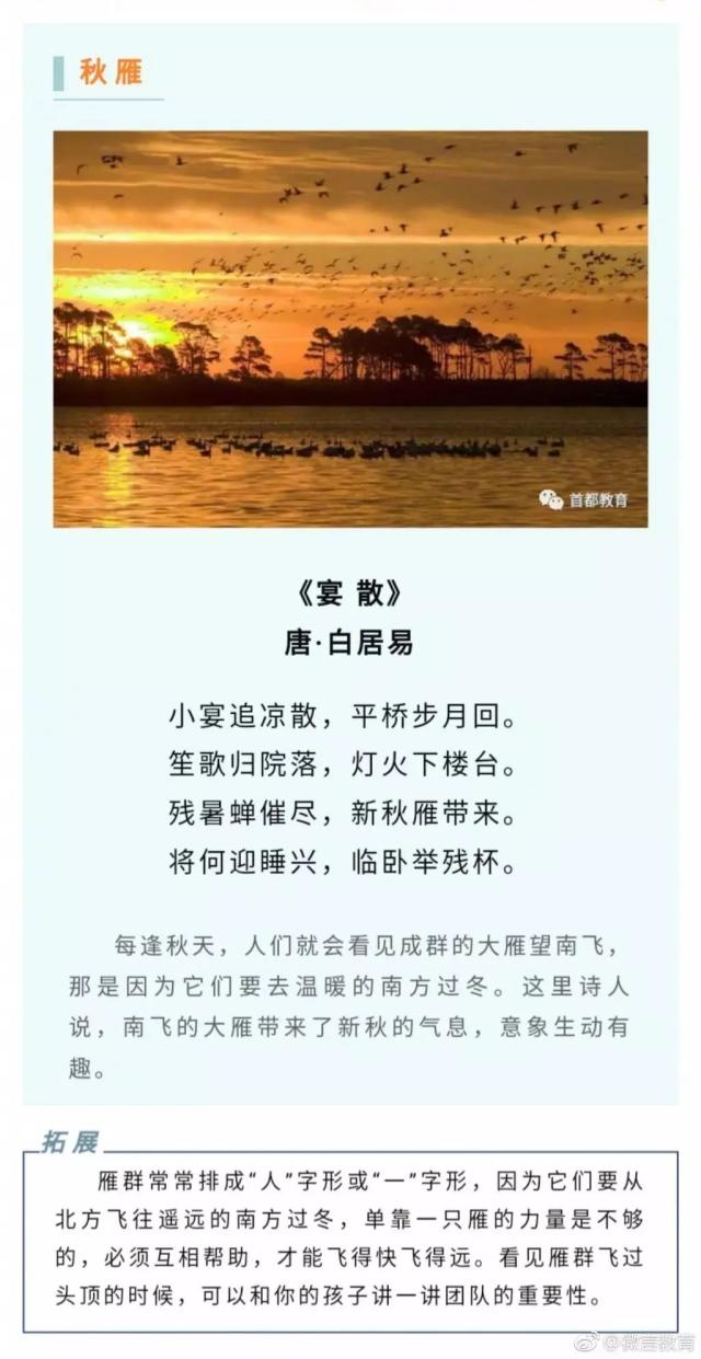 诗词丨秋天那么美!一起来读关于秋天的诗句