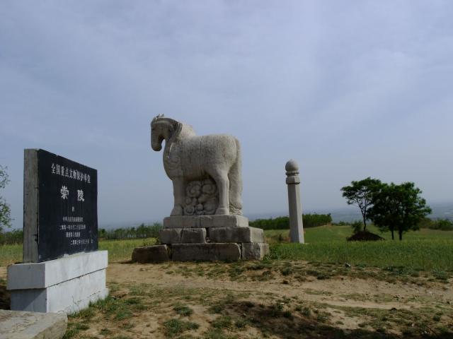 崇陵为唐德宗李适墓,位于泾阳县蒋路乡的嵯峨山南麓.