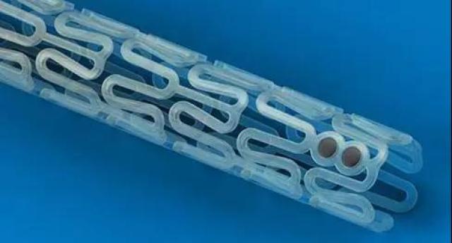 国外可降解支架品牌 37e184c3e2b64a42bd4ab6a72f962962.jpeg