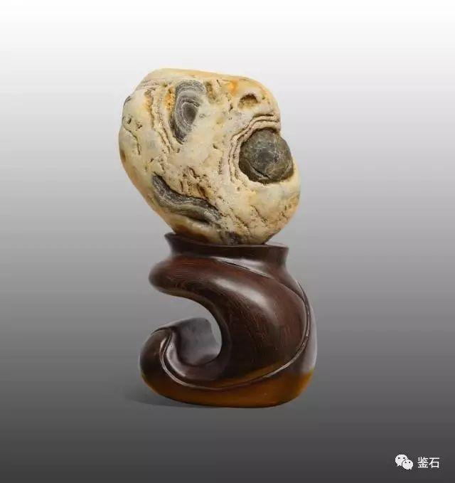 每日一石:汉江石《贪珠罗汉》 图