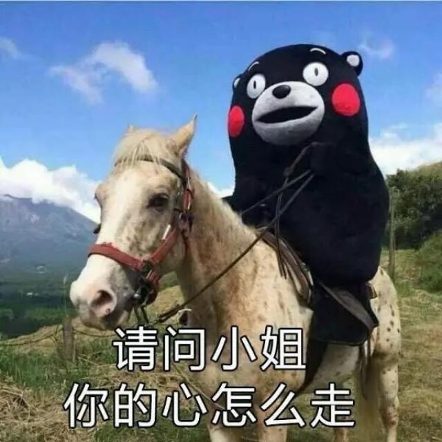 每个人都有的祖传之宝:编辑团队大起底!