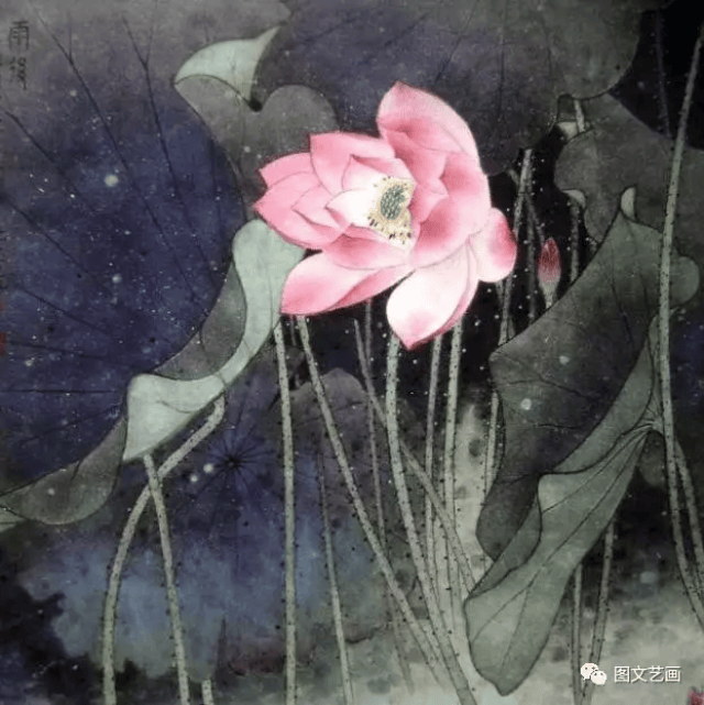 工笔荷花画画高清图片,荷花工笔画高清作品
