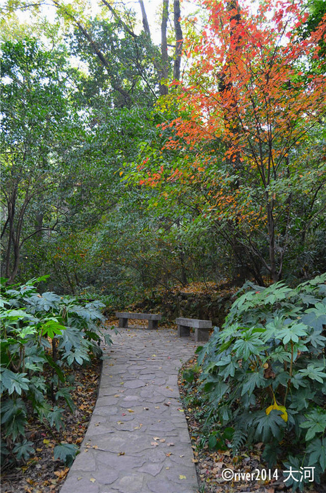 悦徒户外~长沙旅游攻略,一日游之岳麓山,岳麓书院,橘子洲,太平街