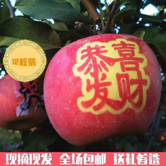【中秋钜献】中秋节,让长出祝福的苹果, 替您表达心意