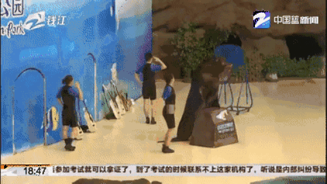 为赢得两套情侣票努力了!