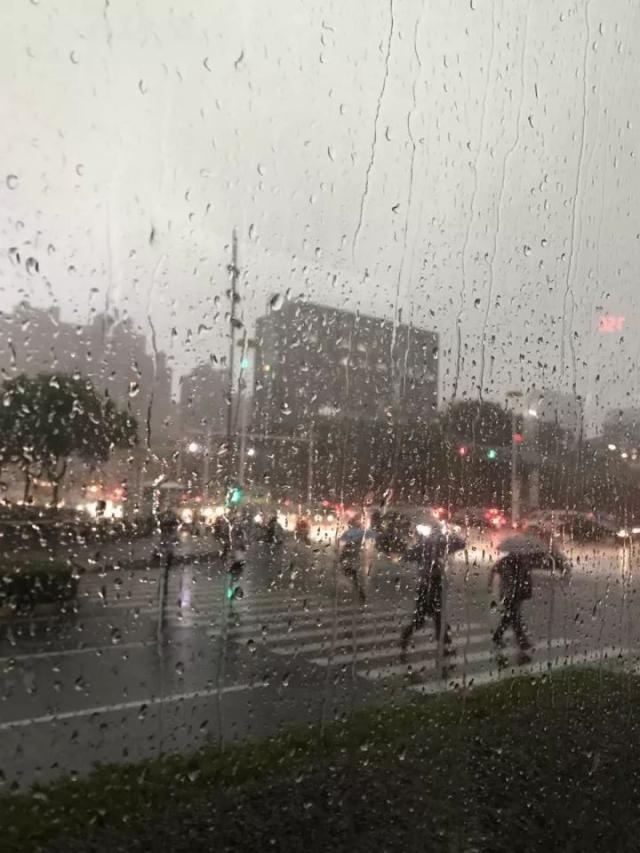 今天苏州人彻底被这场雨下奔溃了!