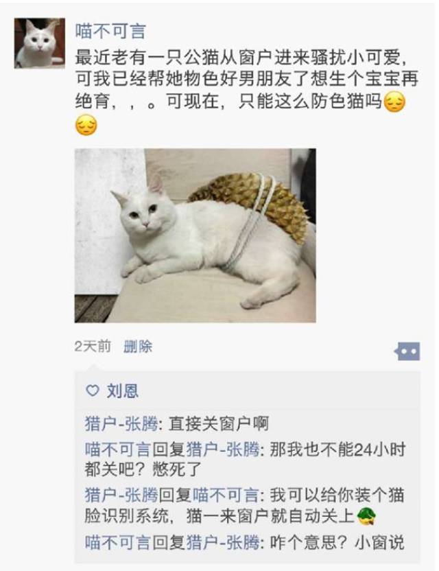 (萌猫主人在朋友圈求助)