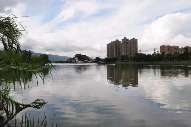 平阳居然还有那么多亮眼的湿地,你都知道几个?