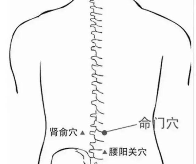 我有的时候会腰痛的厉害,位置就在腰眼处,请问是什么