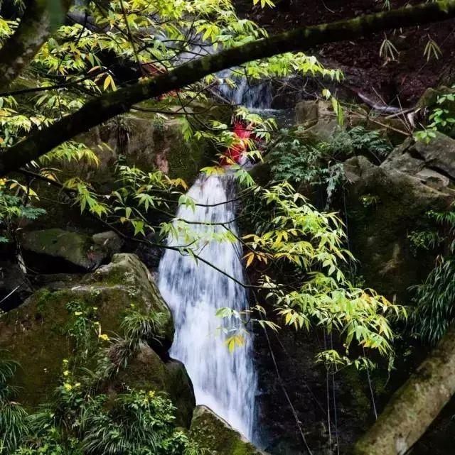 成都周边6大登山好去处,初秋郊游就去这些踏踏!