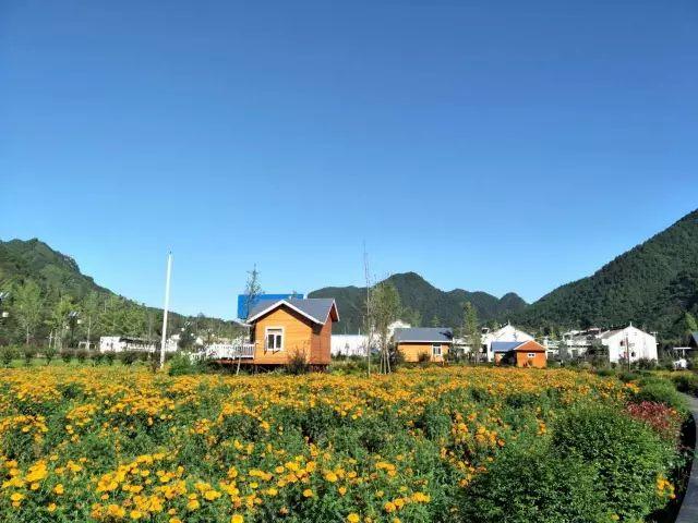 青山碧水,绿野蓝天…西安往南有片万亩花海,又美又低调!