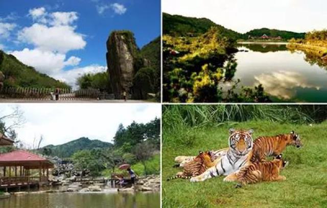 行程推 介:龙岩市区→梅花山华南虎园生态旅游区→毛泽东才溪乡调查