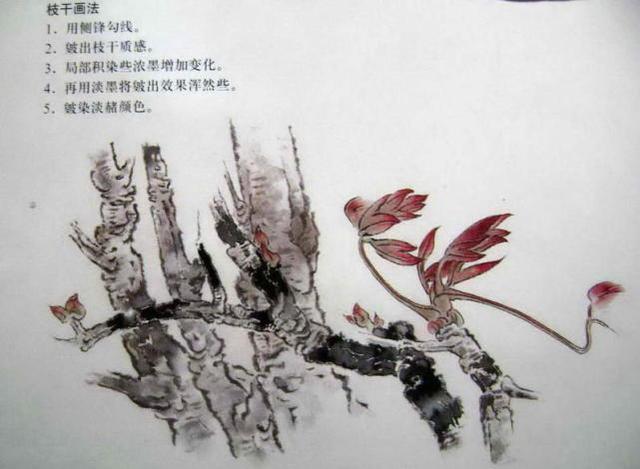 中国工笔花鸟绘画教程,工笔画各种技法画法步骤讲解,工笔白描稿!