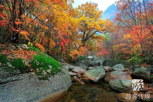 宽甸天华山|妖娆,婀娜多姿的"五花山"