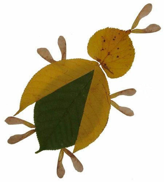 孩子一学就会的种子粘贴画和树叶粘贴画,材料简单,创意丰富!图片