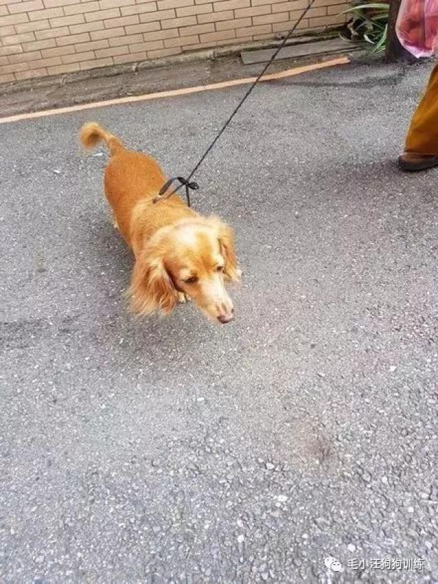 孙俪: