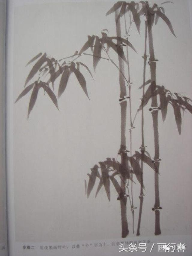 国画水墨画竹子的各种入门技法画法步骤图文详解