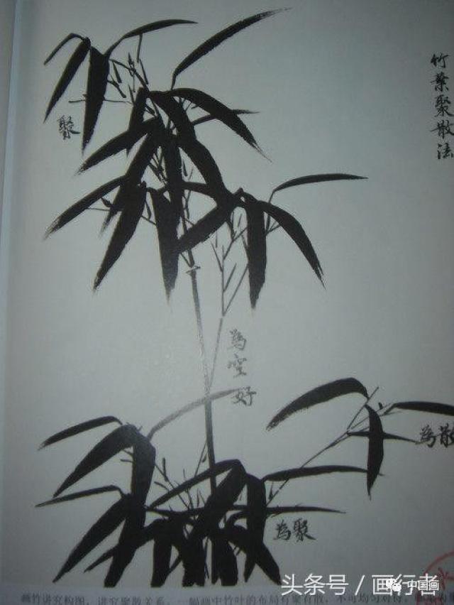 国画水墨画竹子的各种入门技法画法步骤图文详解