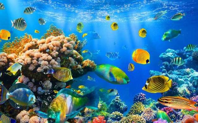 罗源湾海洋世界