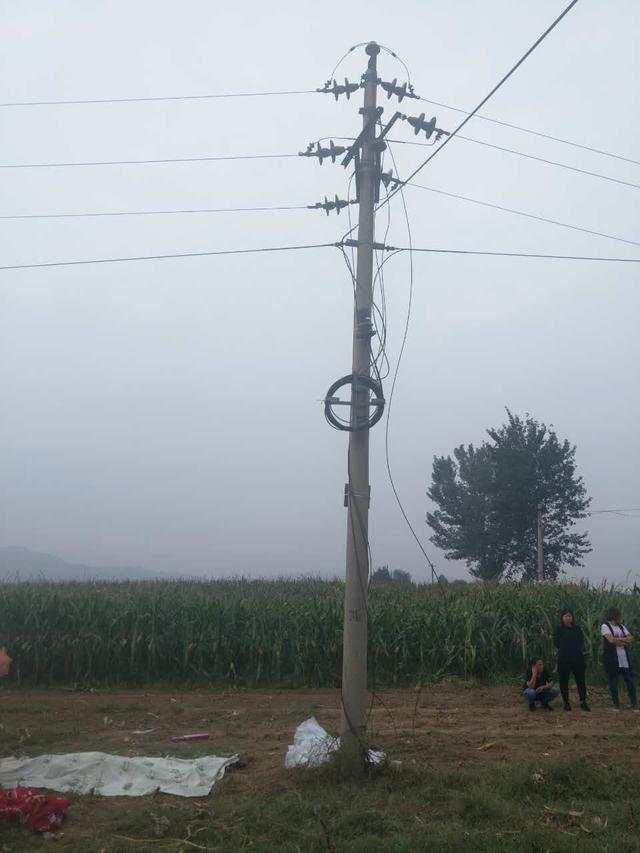 农村电线掉,电,襄汾供电局,到底有责任没