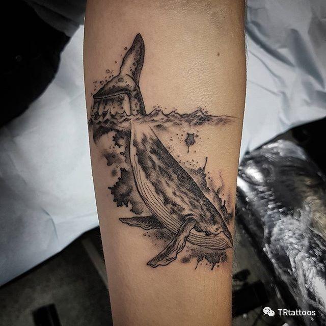 纹身素材| 鲸——深海中的一座温柔孤岛