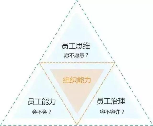 组织能力杨三角