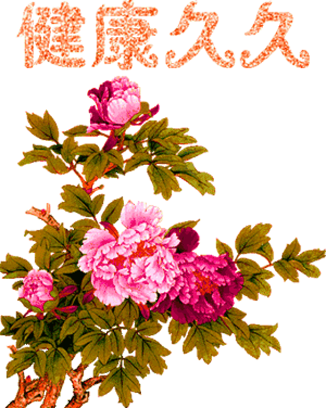 壁纸 花 桌面 300_376 竖版 竖屏 手机 gif 动态图 动图