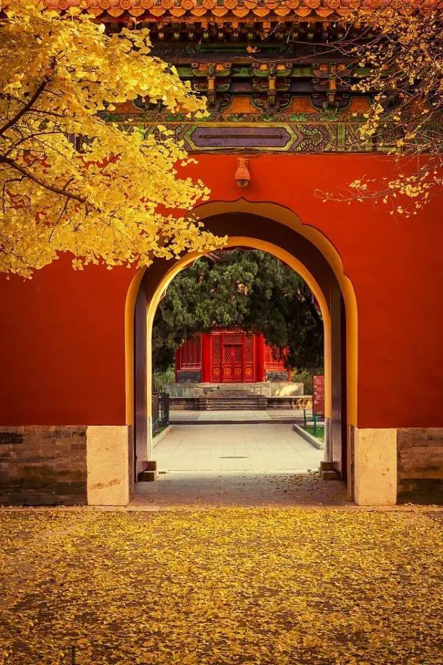 北京的秋有多美?随便一拍都是手机壁纸