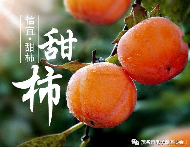 2017信宜市大成镇北梭村甜柿电商分销平台!