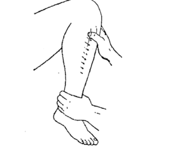 《脏腑点穴—腿部分筋法》