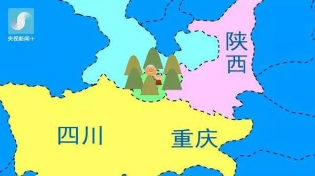 海盗9人口_雷狮海盗团图片(2)