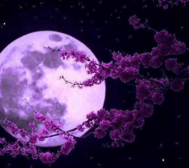 情满中秋 · 古典的月亮 | 清平朗诵