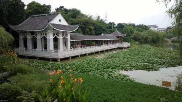 假期不拥堵,南宁8个免费开放公园和家人玩个够