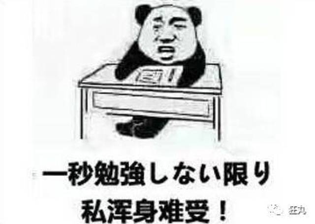 即可熟练掌握表情包用法, 开展一场愉快的国际斗图, 顺便说一下