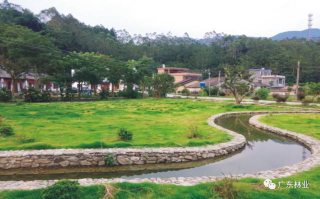 肇庆市 鼎湖区凤凰镇 潮州市 潮安区文祠镇,饶平县上饶镇,潮安区赤凤