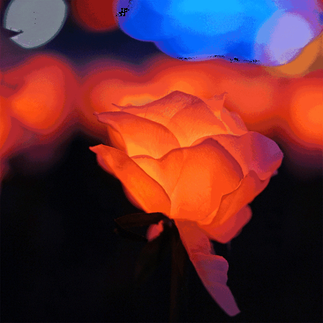 vivo 20 ȫֻ