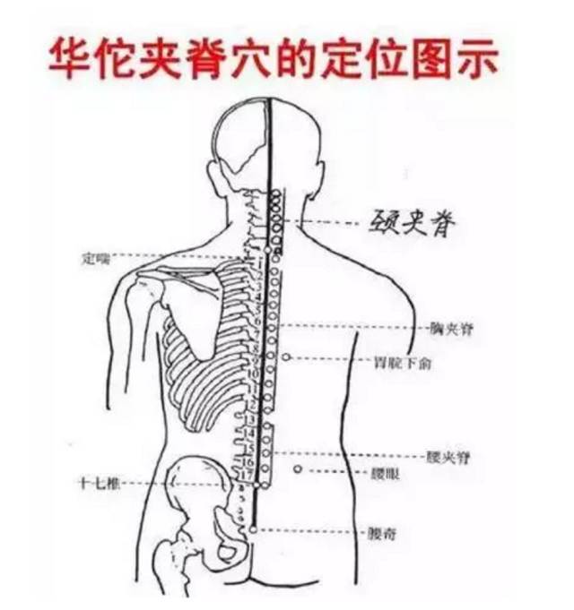 刮痧| 刮这5条经络,轻松解决乳腺问题!