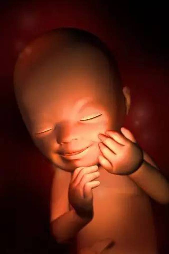 胎儿发育40周全过程 692cfcc5b71e48a2805c305e6f8581dc.jpeg