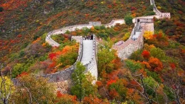 我的中国心粤语版歌图片