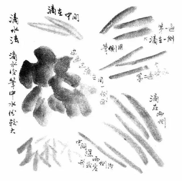 国画技法:如何画好写意花鸟画?