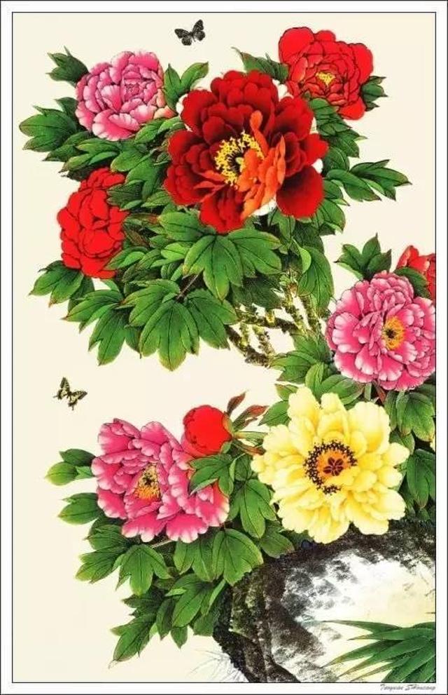 【欣赏】一组盛世牡丹,祝福祖国!