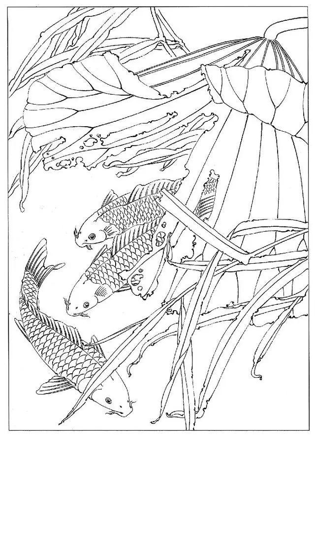 ʻزġͼ0014